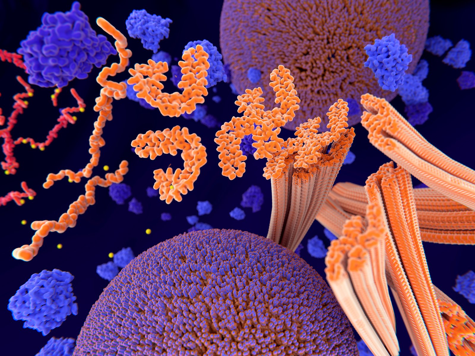 leaking-calcium-in-neurons-an-early-sign-of-alzheimer-s-pathology