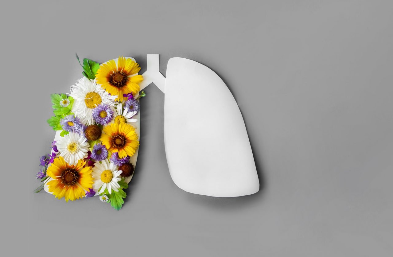 Pediatric kidney transplant patients fare better when kidney is from