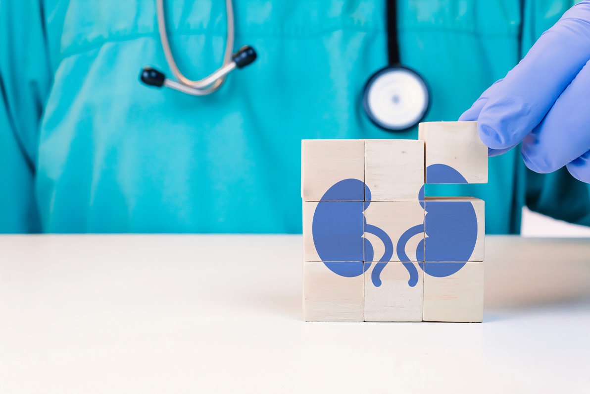 New Kidney Function Equation May Reduce Health Disparities By Improving ...